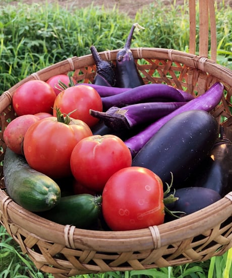 NEW!(100size X-large size) Farmer's choice! Deliver best vegetables in the season