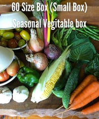 (60size, small box for 1-2 persons) Farmer's choice! Season's Best Organic Vegetable box!