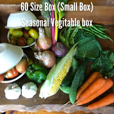 (60size, 1-2persons small box) Farmer's choice! Season's Best Organic Vegetable box!