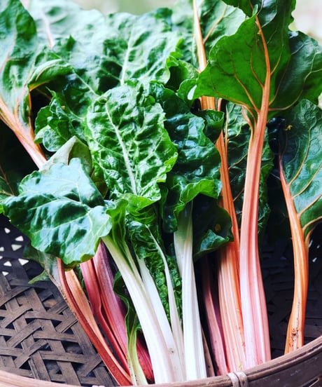 (60size, small box for 1-2 persons) Season's Best Organic Vegetables with Egg!!