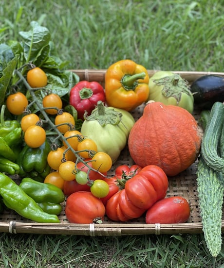 (80size)Farmer's choice! | Organic veggies, Organic Miso, and Eggs!