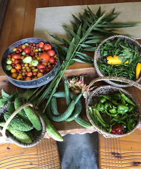(80size)Farmer's choice! | Organic veggies, Organic Miso, and Eggs!