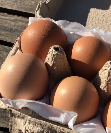 (80size)Farmer's choice! | Organic veggies, Organic Miso, and Eggs!
