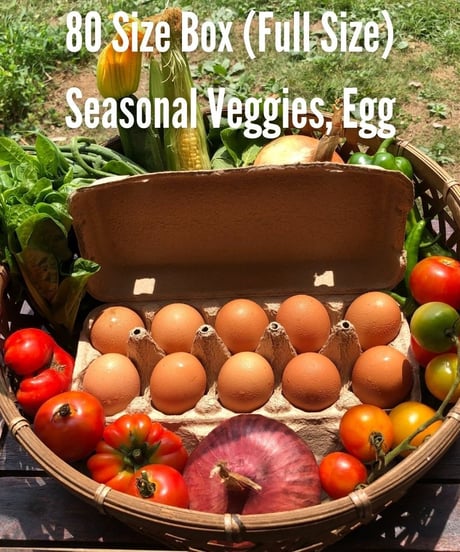 (80size)Farmer's Choice | Organic Vegetables with Eggs!