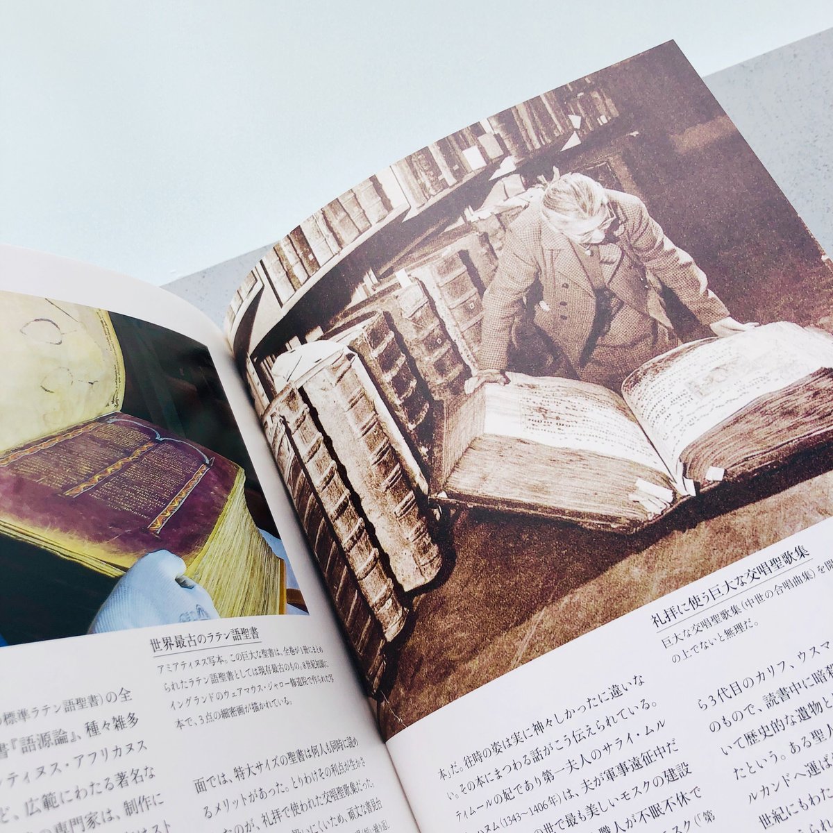 愛書狂の本棚 異能と夢想が生んだ奇書・偽書・稀覯書 | 本の轍 STORE
