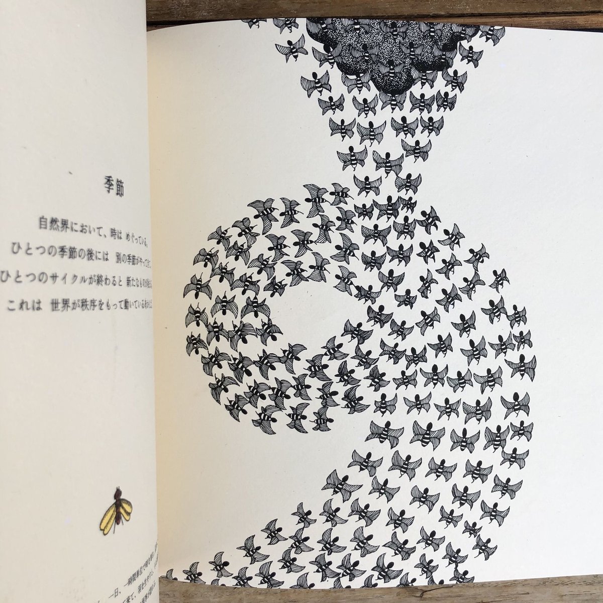 世界のはじまり | 本の轍 STORE