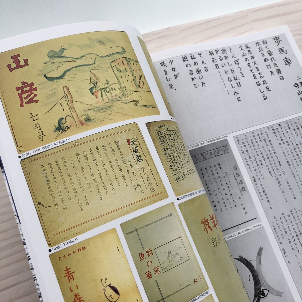 寺山修司記念館 | 本の轍 STORE 寺山修司記念館 | 本の轍 STORE