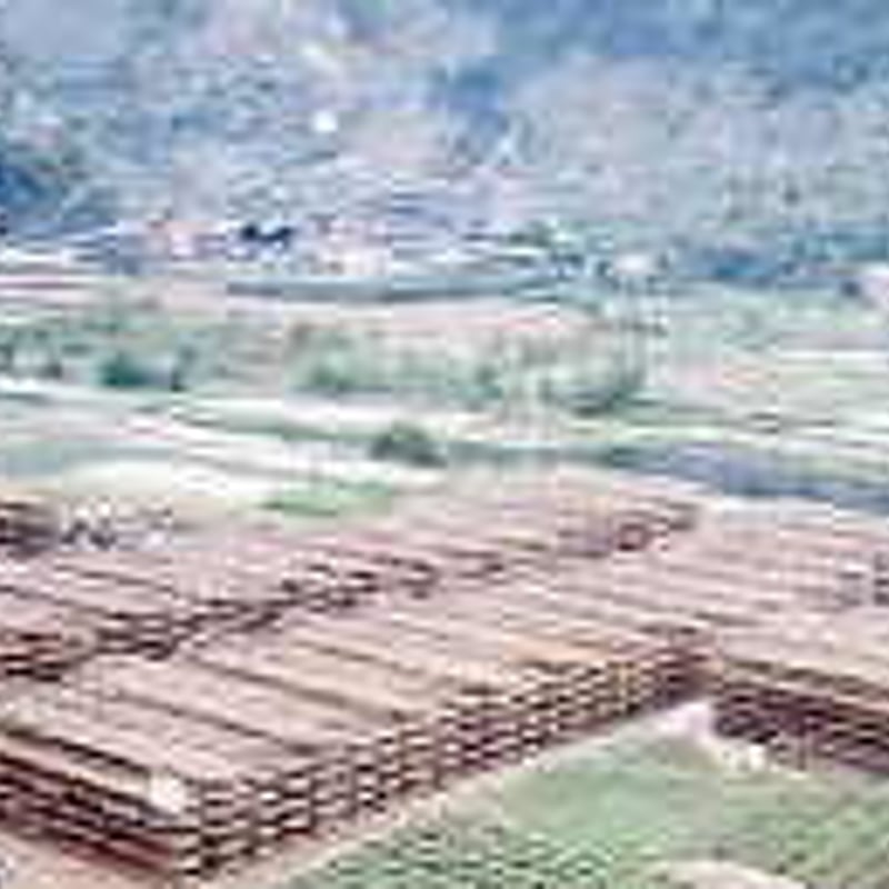 大山アガリクス・お買得3本セット | 新橋健康館