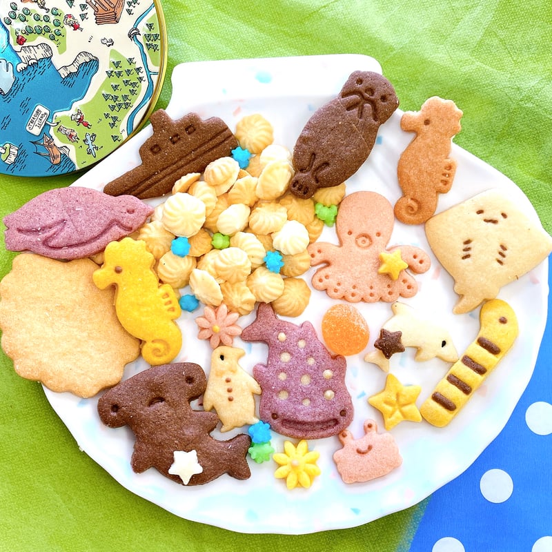 クッキーギフト：エトワール（水族缶＆無添加ピュアクッキー缶