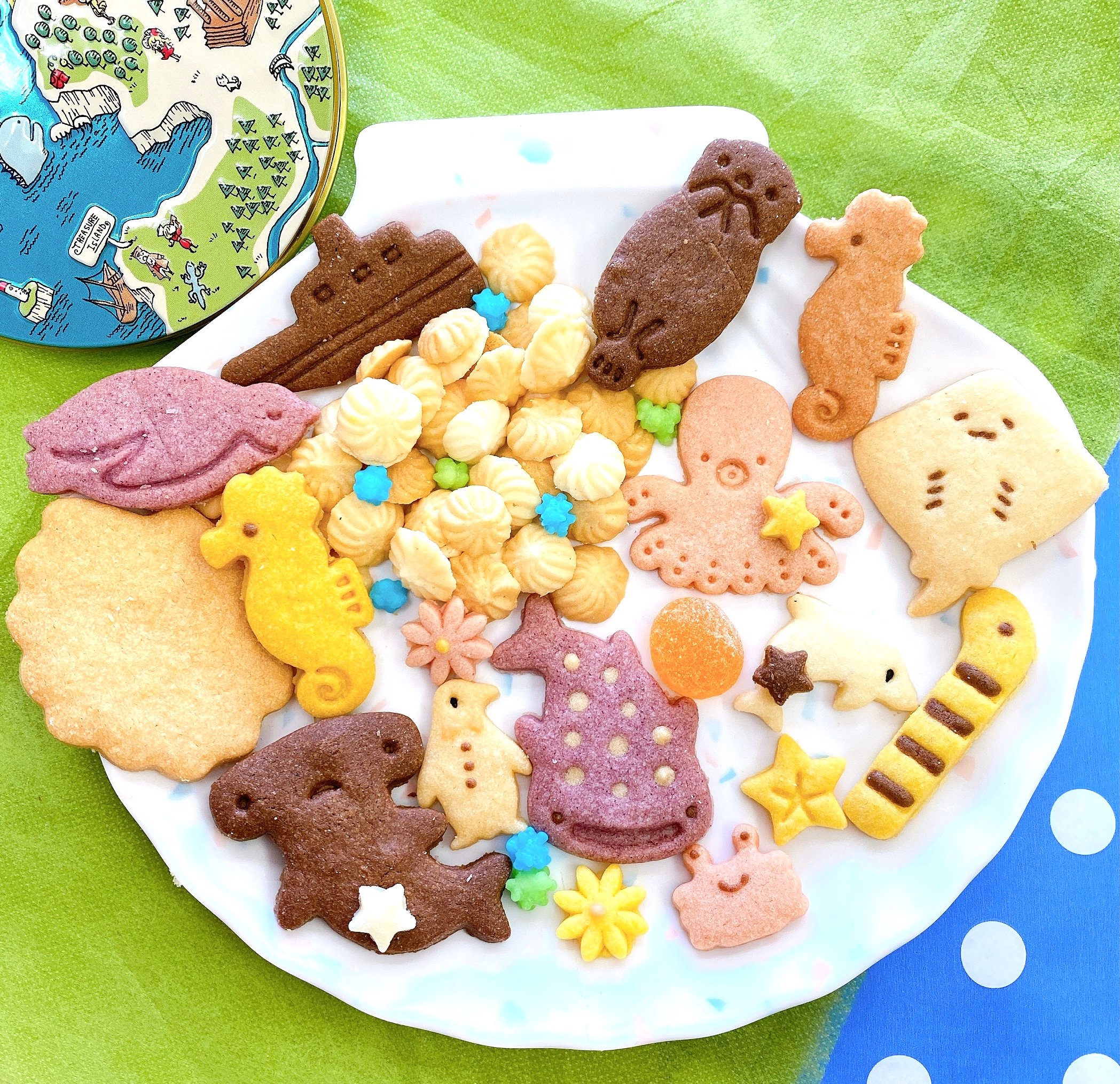 クッキーギフト：エトワール（水族缶＆無添加ピュアクッキー缶