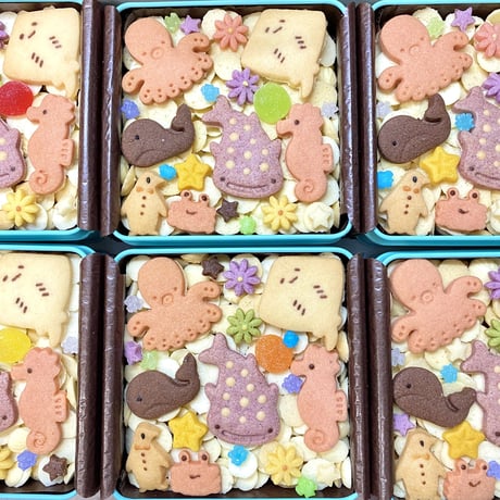 NEW✨焼菓子ギフト・ボヌール M【水族缶】