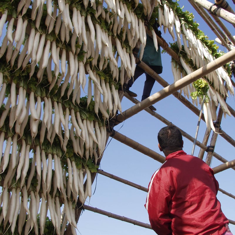 2025年】【30セット限定】【送料無料】全く未加工の宮崎県産天日干し