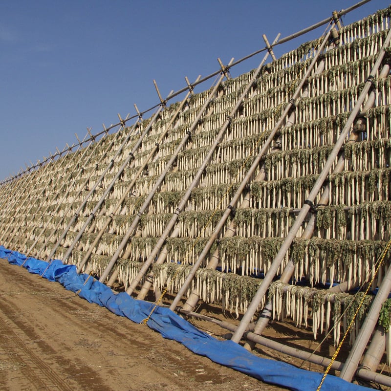 2025年】【30セット限定】【送料無料】全く未加工の宮崎県産天日干し