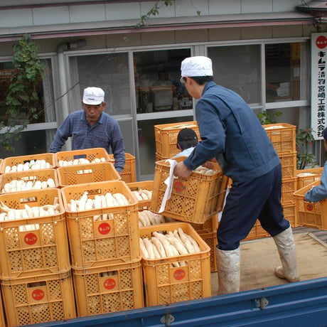【2024年】【50セット限定】【送料無料】全く未加工の宮崎県産天日干し大根　10kg