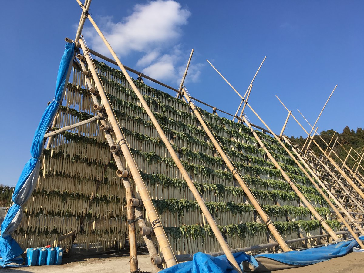 ぬか漬けたくあん】宮崎寒干しぬか沢庵 1本入 | 米ぬか発酵熟成製法で