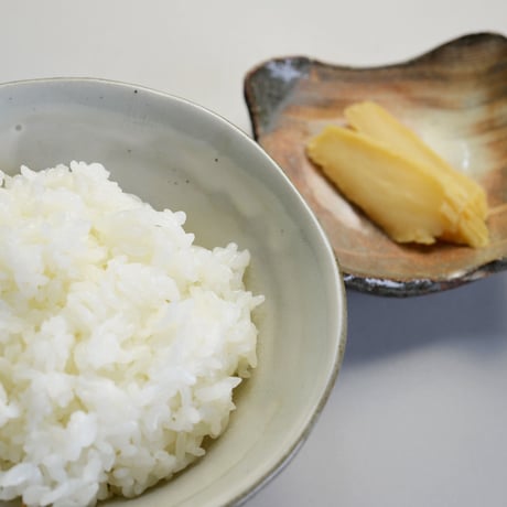 【成分無調整】【乳酸発酵】すっぱい宮崎発酵だいこん　5本セット☆