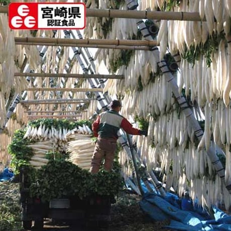 NEWこぶ茶漬一本　5本セット