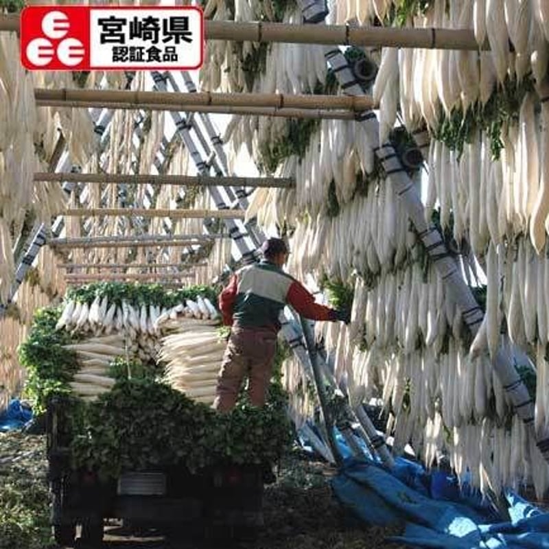 宮崎お土産】【宮崎県認証食品】天日干し大根の素朴でまろやかなお味