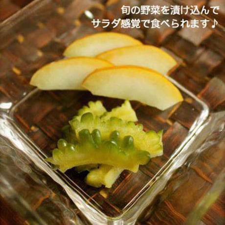 【発酵食品】【すぐ使える】はじめての熟成ぬか床　1kg