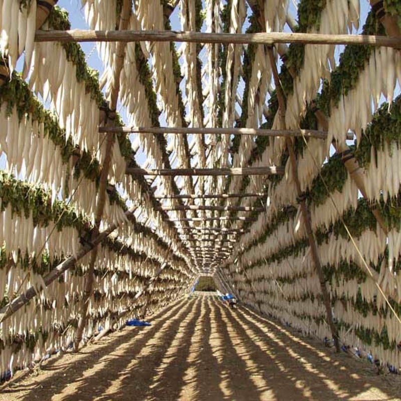 2024年】【50セット限定】【送料無料】全く未加工の宮崎県産天日干し