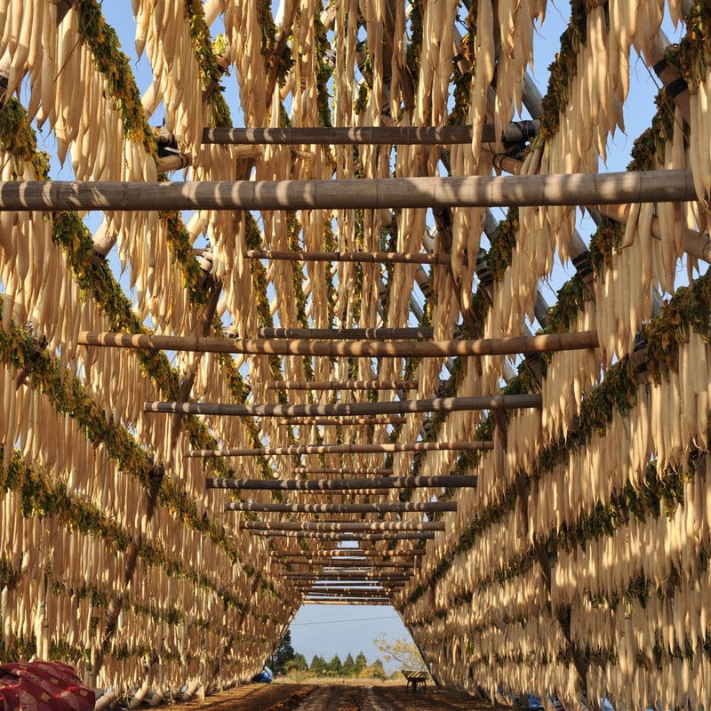 2025年】【30セット限定】【送料無料】全く未加工の宮崎県産天日干し