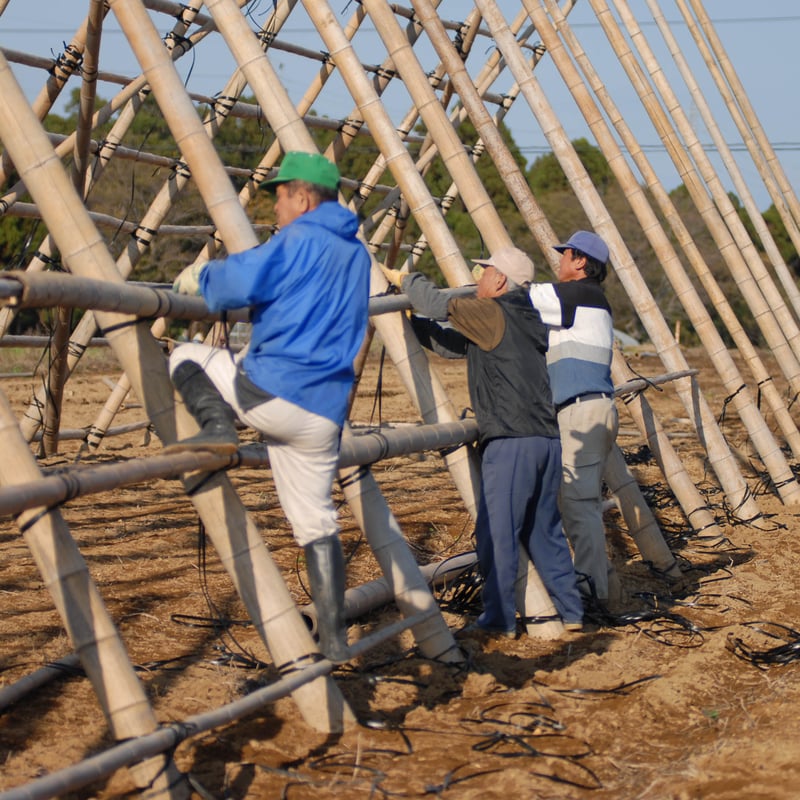 2025年】【30セット限定】【送料無料】全く未加工の宮崎県産天日干し