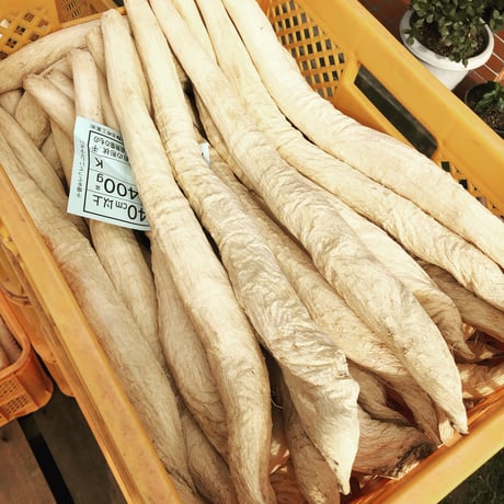 【お徳用】つぼ漬かつおコロコロ　300g