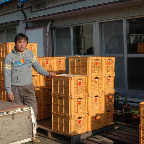【2024年】【50セット限定】【送料無料】全く未加工の宮崎県産天日干し大根　10kg