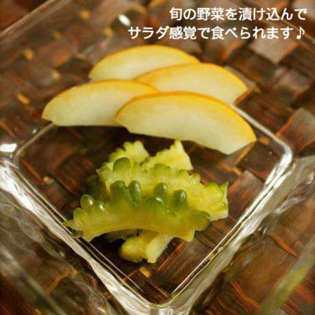 【送料込み】おうちで発酵食品を作ろう！熟成ぬか床と浅漬の素セット☆