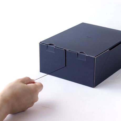 どこでも加熱BOX (6個入)