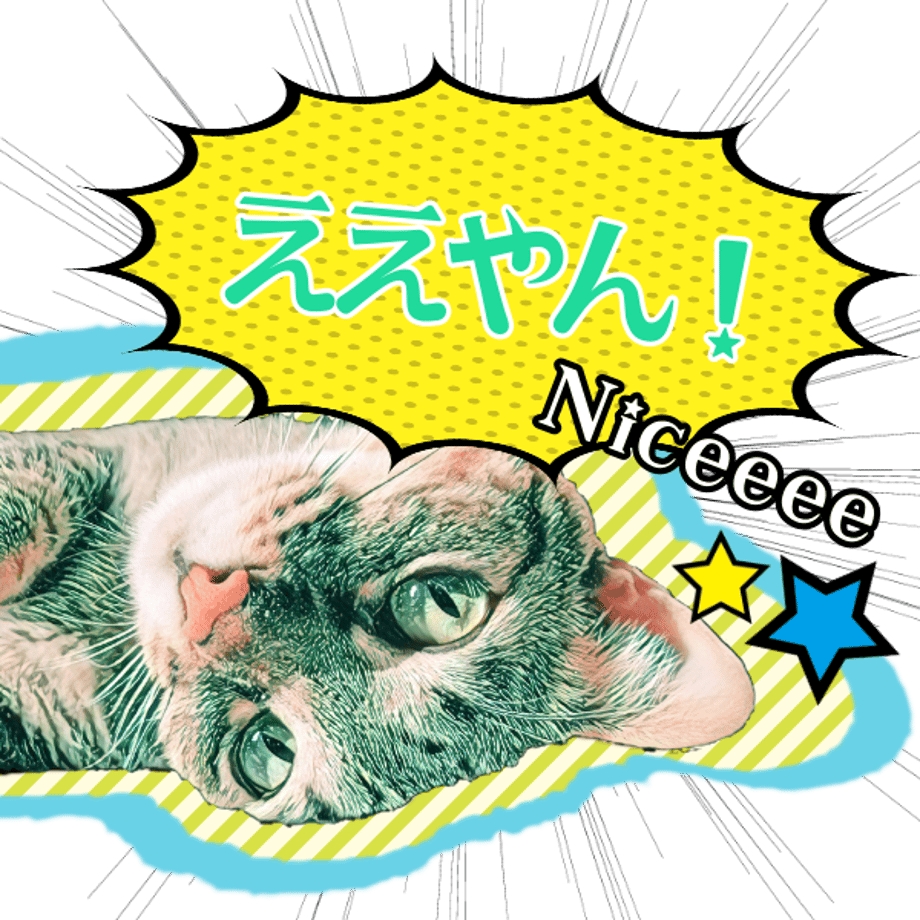 5d4a801c0838290b1de9ed5b