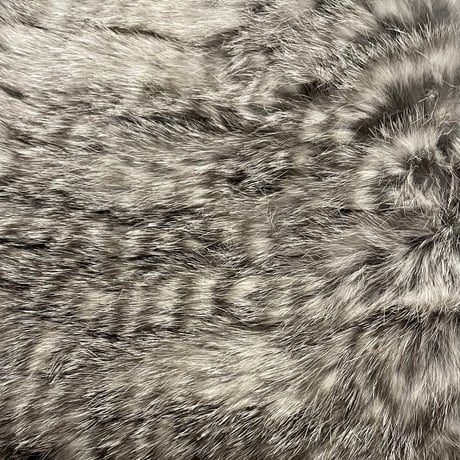 2502HW0073(S) / Rabbit fur volume hat（Gray）