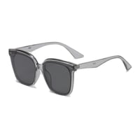 【 Select 】Square Classic Retro Polarized Sunglasses (Clear Grey)