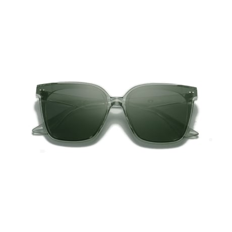 【 Select 】Square Classic Retro Polarized Sunglasses (Clear Green)