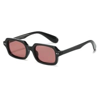 【 Legit Eyewear 】Sunglasses Horikawa (Black/Lt Red)