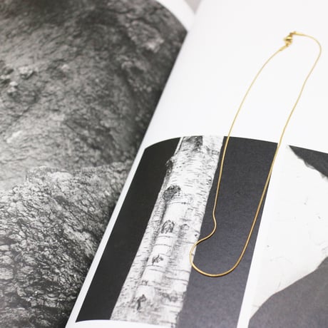 Snake thin Simple chain Necklace（Gold / 39cm）/ 2111-NC117