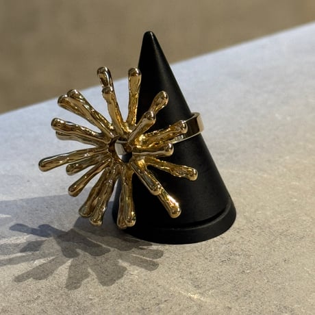 2511RG0705／ Big Shiny ring（Gold）