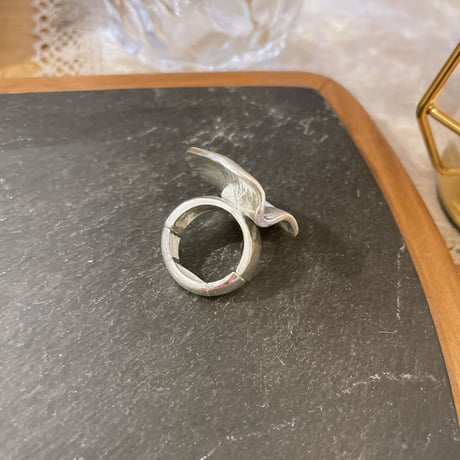 2306RG0294 / Saucer break metal ring (Silver)