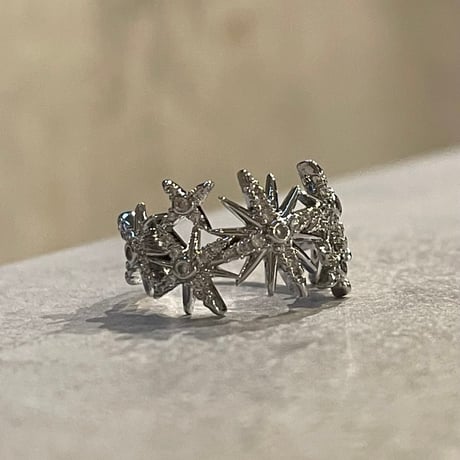 2601RG0724 / Shine stone ring（Silver）