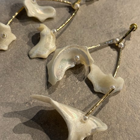 2504PR0774 / Shell stone Pierce（Gold/shell)