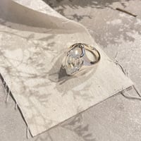 clear stone ring（Silver） / 2211-RG0265