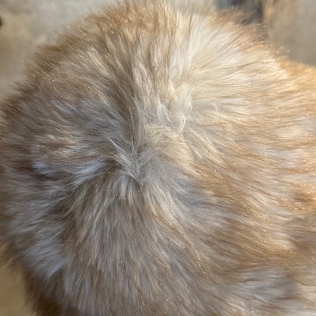 2510KC1022(S) / Mix Fur Hat（Ivory/Beige）