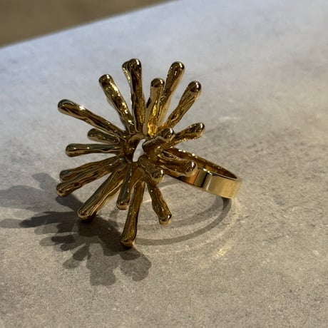 2511RG0705／ Big Shiny ring（Gold）