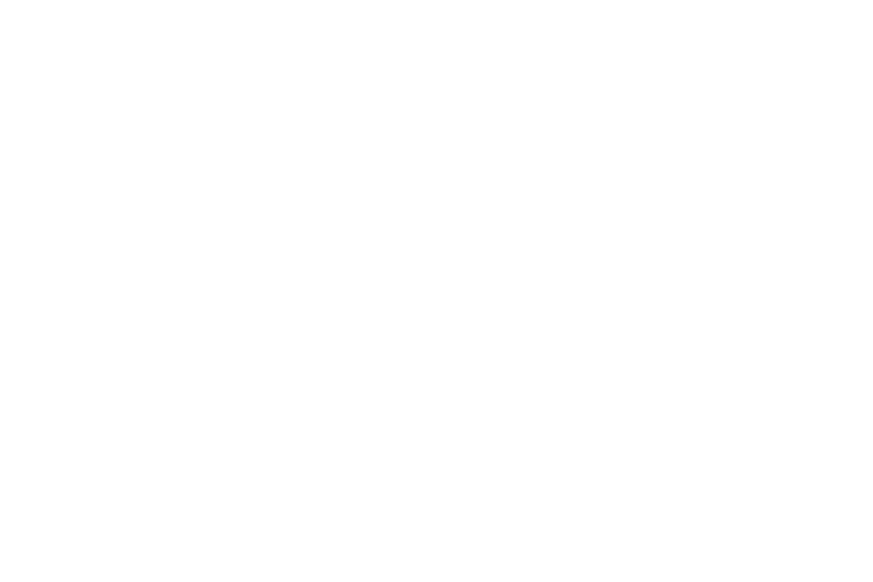 SHOTA MINO     Art & Jewelry