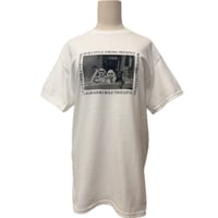 dog T