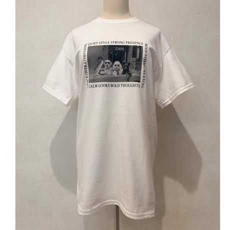 dog T