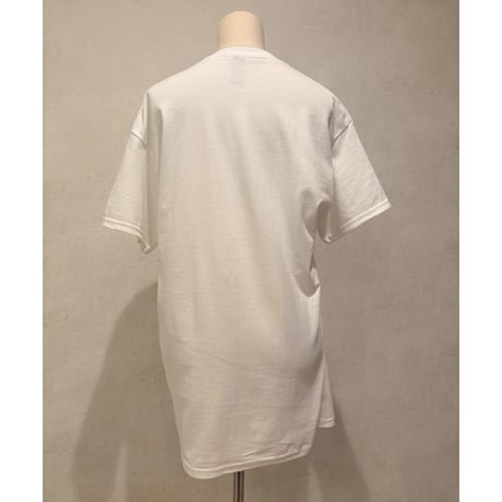 dog T
