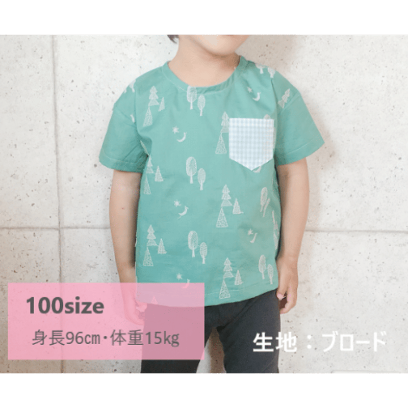 ハンドメイド☆ダイナソープルオーバー110 高い順 