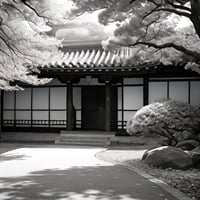 お土産⑤