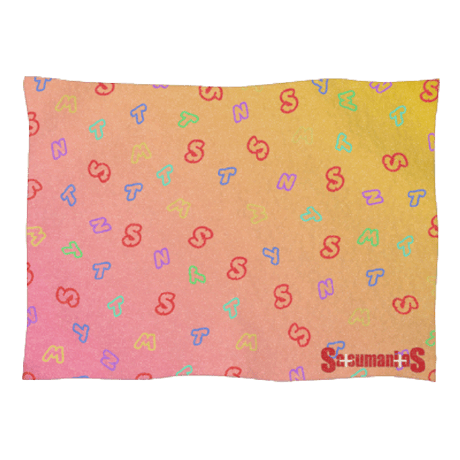 BLANKET 2024